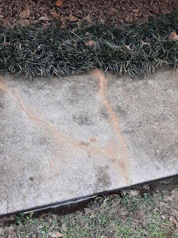 Cracked Concrete