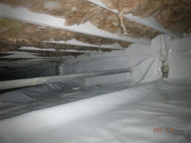 average crawlspace