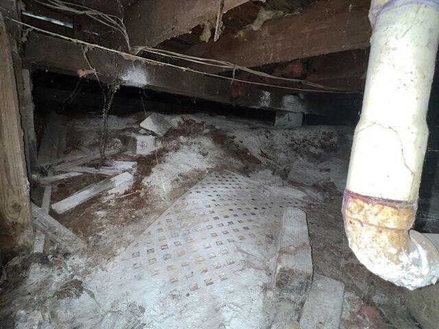 Crawl Space Mold