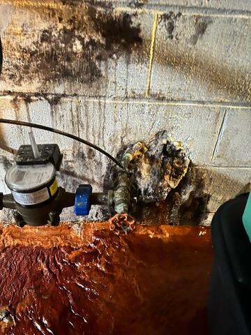 Extreme Water Damage