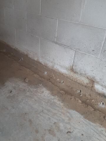 Basement Waterproofing in New Johnsonville, TN