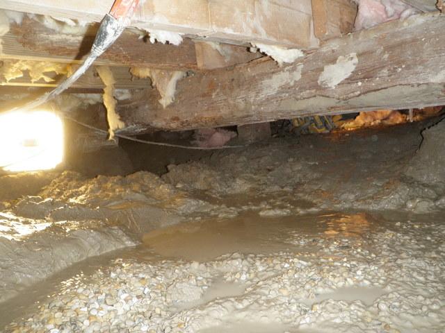 Crawl space damaged from water in Ocean View, Maryland