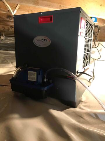 Crawl Space Dehumidifier