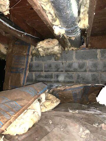 Nasty Crawl Space