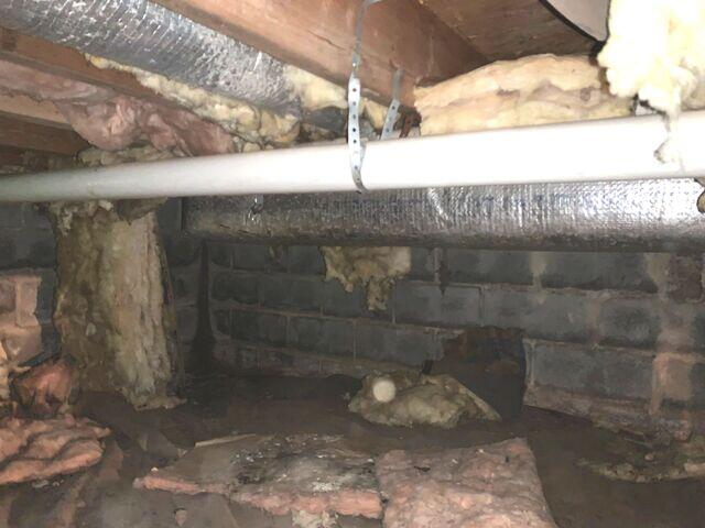 Nasty Crawl Space