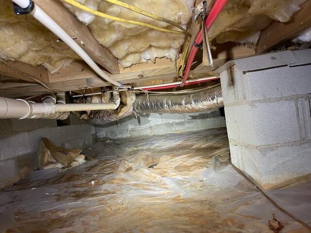 Crawl Space Nightmare