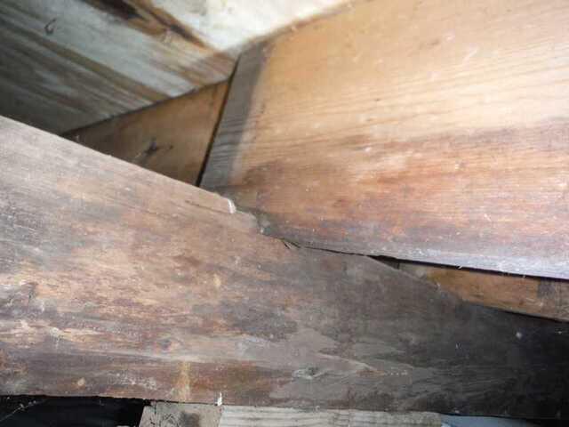 Rotten wood