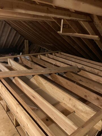 Attic Disinfected