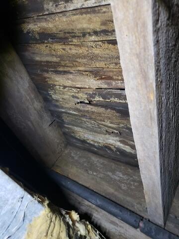 Rotten Subfloor - Uncovered Issue