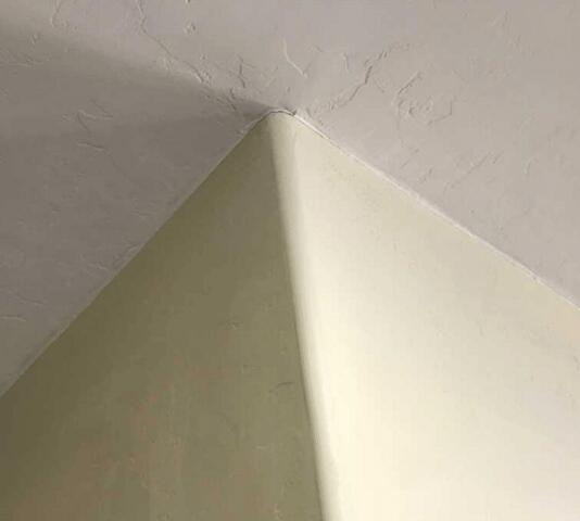 Symptoms of Foundation Problems: Ceiling Crack