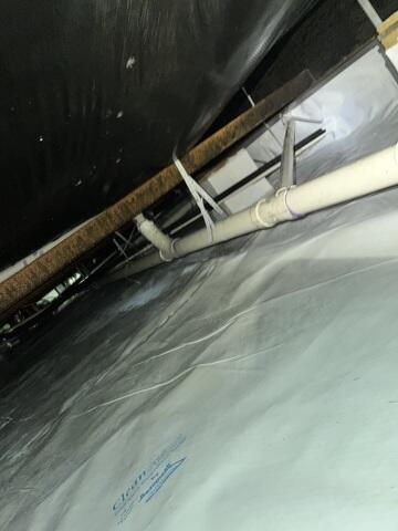 CleanSpace Encapsulation