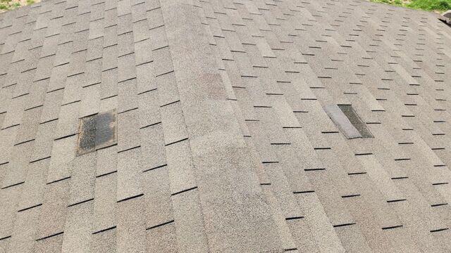 Damaged shingles