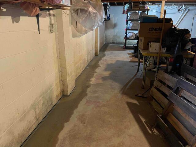 Basement Waterproofing