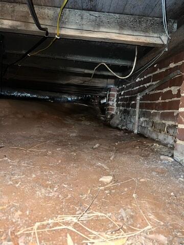 Crawl Space Moisture