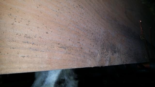 Mold on Rim Joists