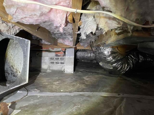 Damaged Fiberglass Insulation