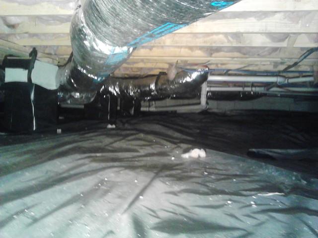 Plastic Liner Before