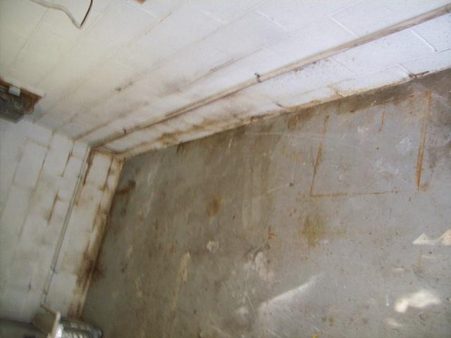 Wet Basement