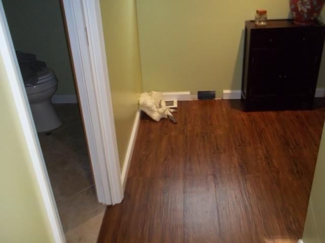 Finished Basement
