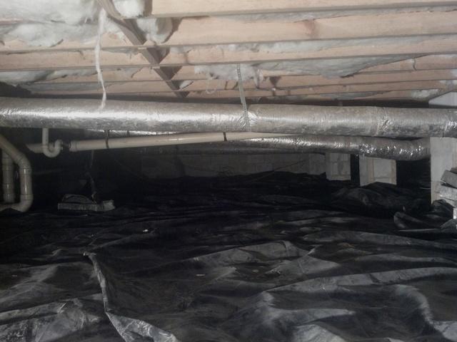 Before Cleanspace