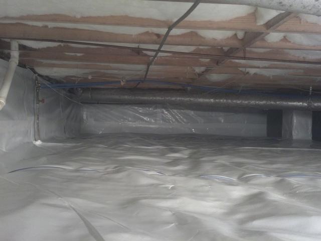 Cleanspace