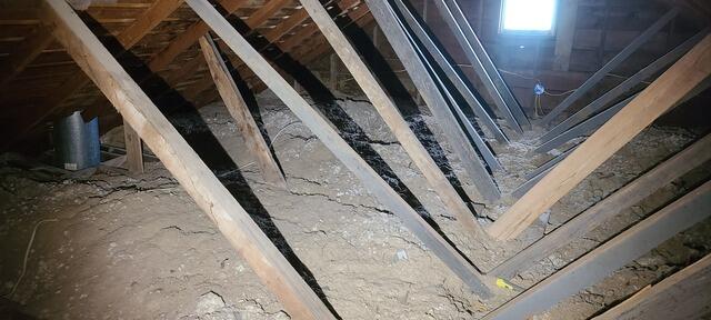 Old Insulation