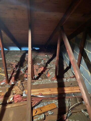 Attic Before