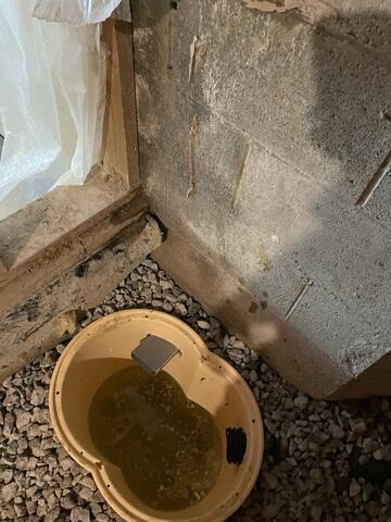 Crawl Space Waterproofing Solutions