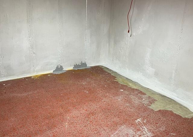 Basement with Water Damage