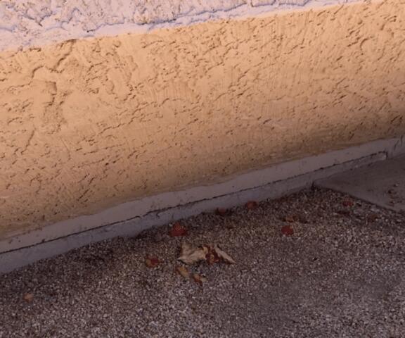 Signs of Corrosion in a Stem Wall: Horizontal Cracks in Tolleson, AZ