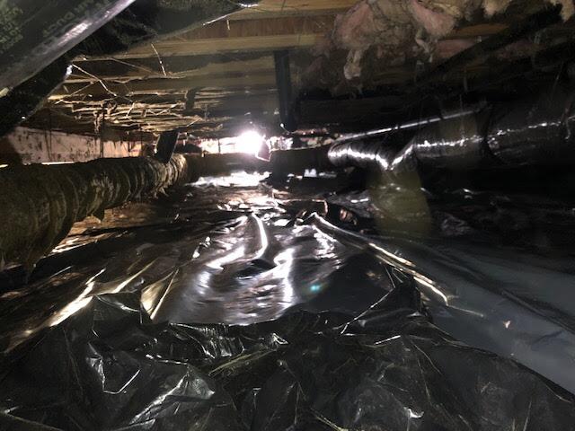 Crawlspace Before