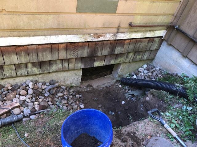 Existing Crawlspace Access