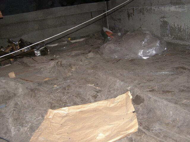 Crawlspace Before