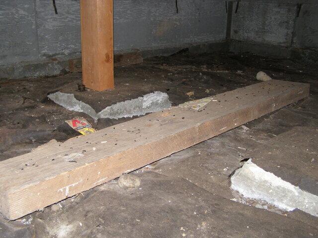 Crawlspace Before