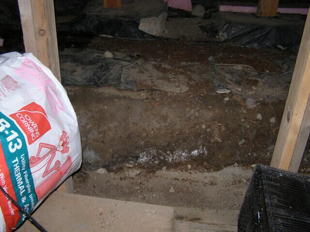 Crawlspace Inspection