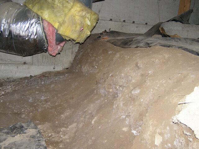 Crawlspace Inspection