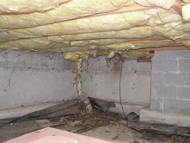 Crawlspace Inspection