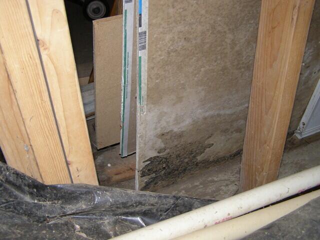 Crawlspace Inspection