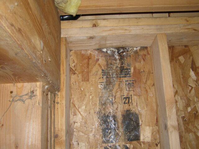 Crawlspace Inspection