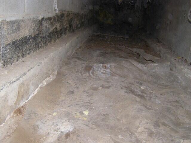 Crawlspace Inspection