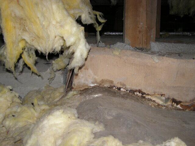 Crawlspace Inspection