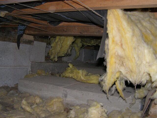 Crawlspace Inspection