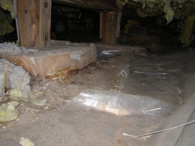 Crawlspace Inspection