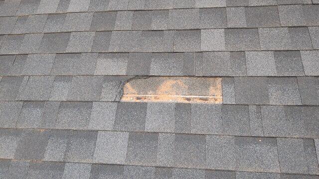 Smaller damaged section of roor