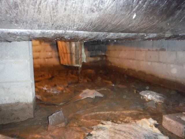 Musty Crawlspace