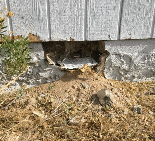 Signs of Corrosion in the Stem Wall: Spalling Concrete in Tonopah, AZ