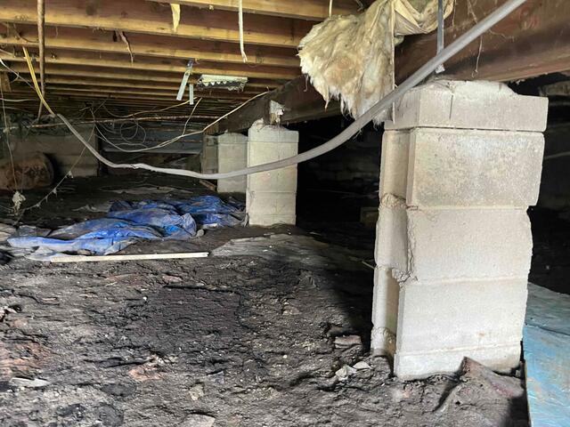 Before in Bayport, New York