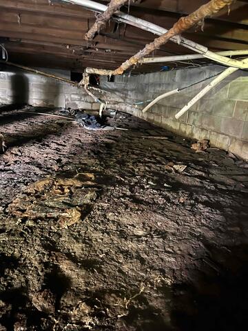 Before in Bayport, New York