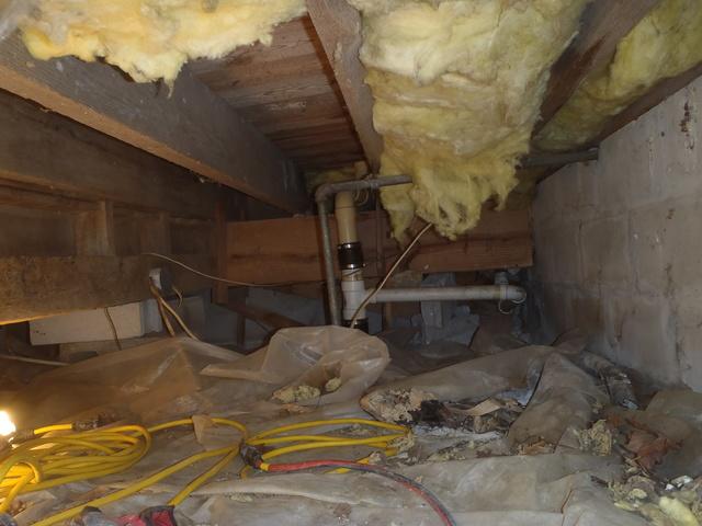 Removing Debris in the Crawl Space