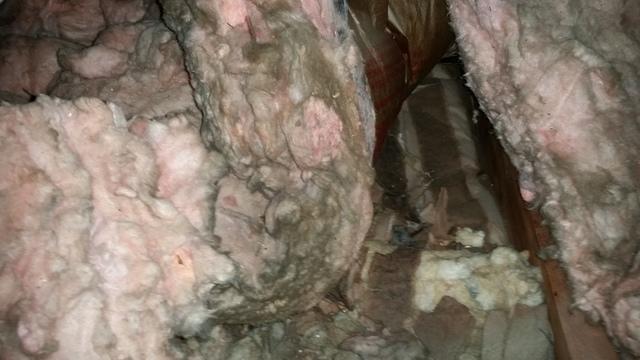 <p>Insulation in the crawl space unfortunately does not serve its purpose well. Due to gravity the insulation begins to sag. This allows air to flow through it causing humidity in the crawl space. This creates mold growth and makes the insulation useless. &nbsp;</p>